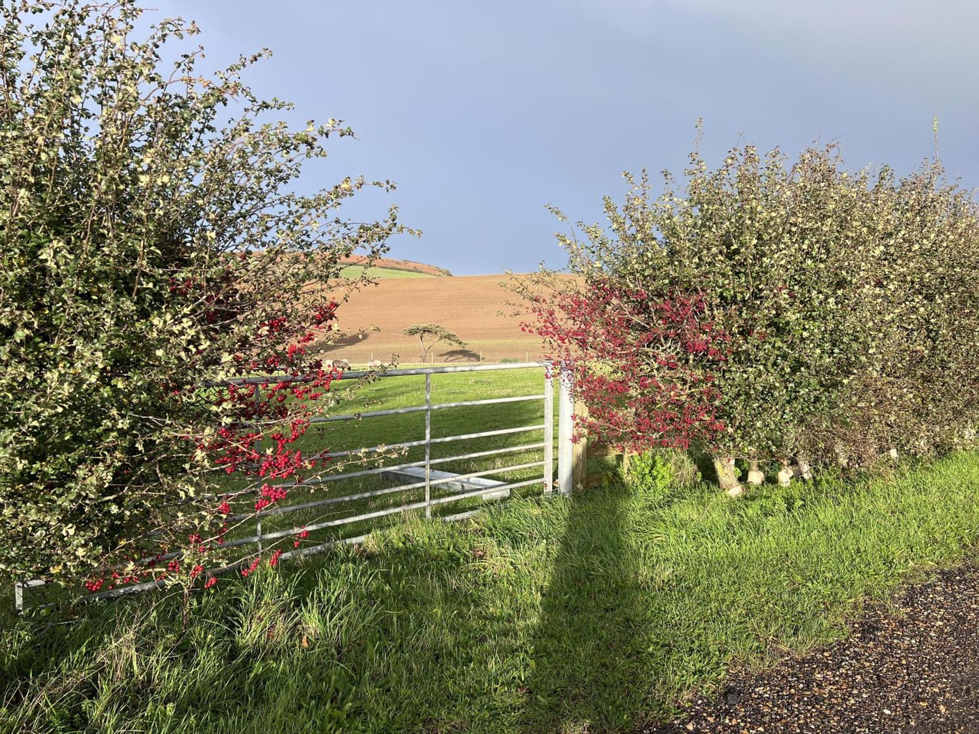 Bike Shed - Beautiful 1-Bed Cottage In Shorwell Exterior foto